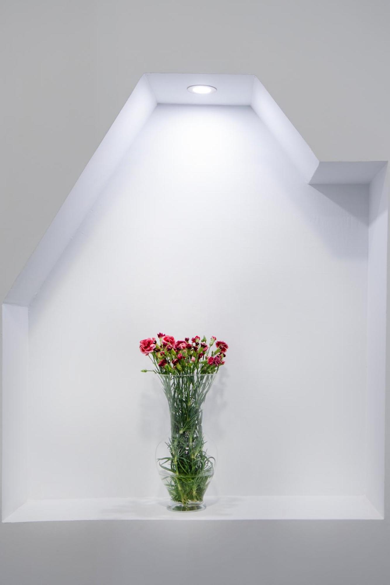Appartement Molucano *